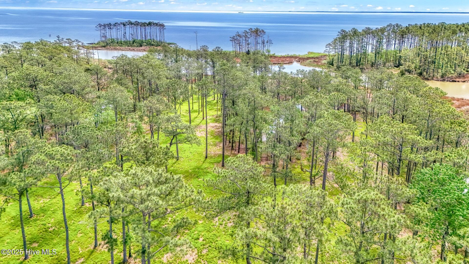 203 River Watch Road Oriental, NC 28571 - Photo 2 of 47 203 River Watch (10)