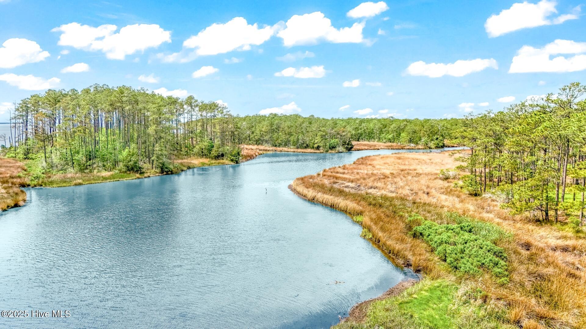 203 River Watch Road Oriental, NC 28571 - Photo 3 of 47 203 River Watch (2)