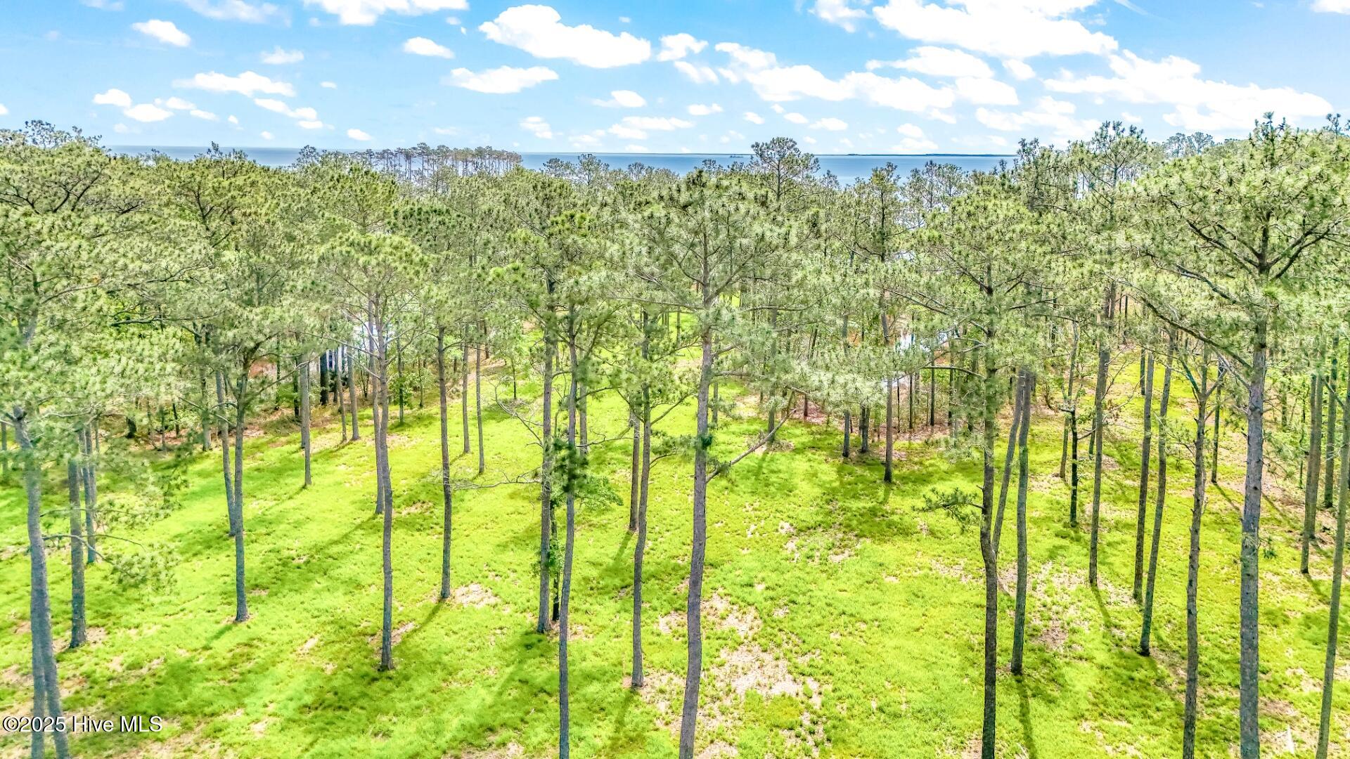 203 River Watch Road Oriental, NC 28571 - Photo 4 of 47 203 River Watch (11)