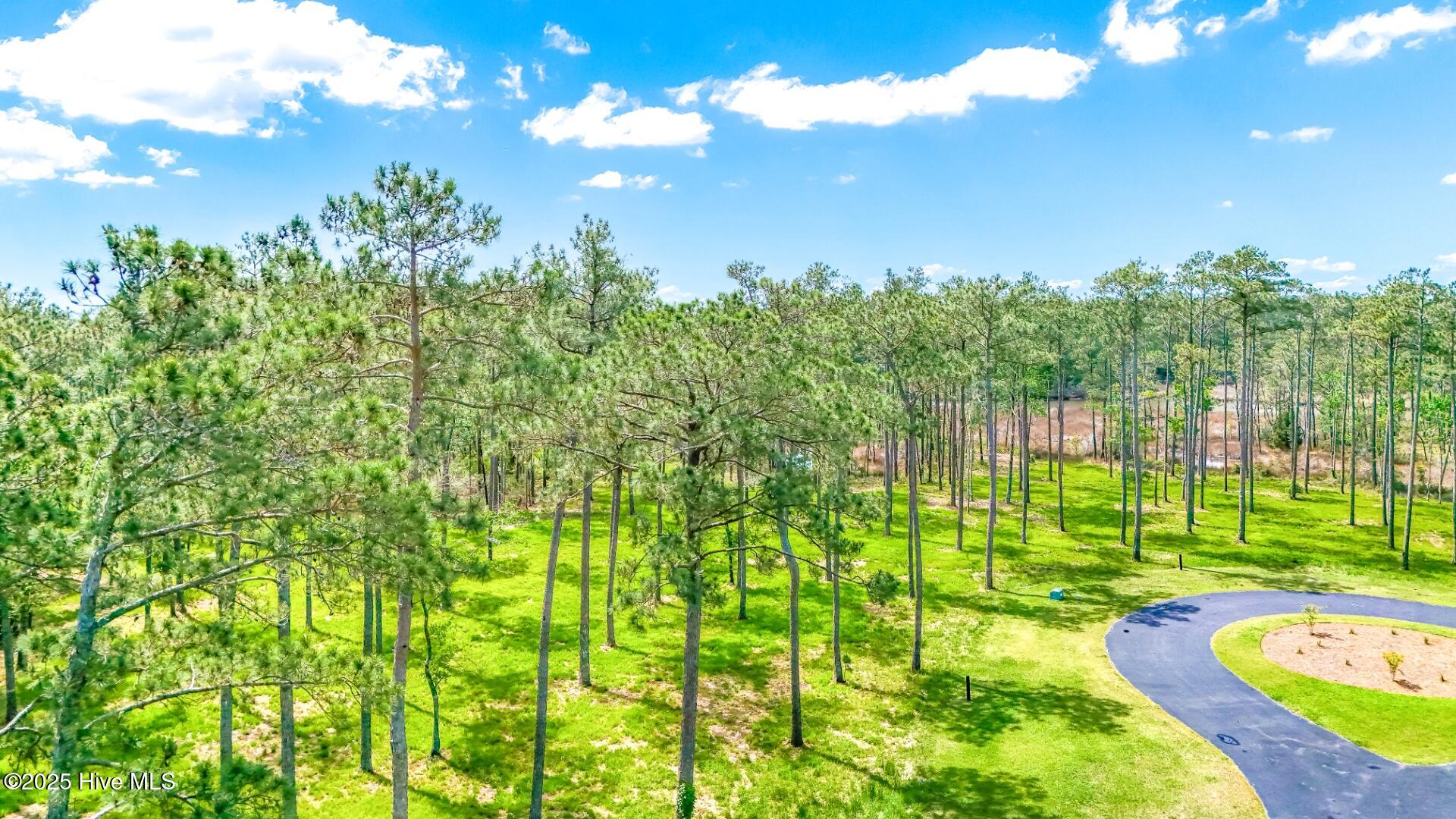 203 River Watch Road Oriental, NC 28571 - Photo 5 of 47 203 River Watch (7)