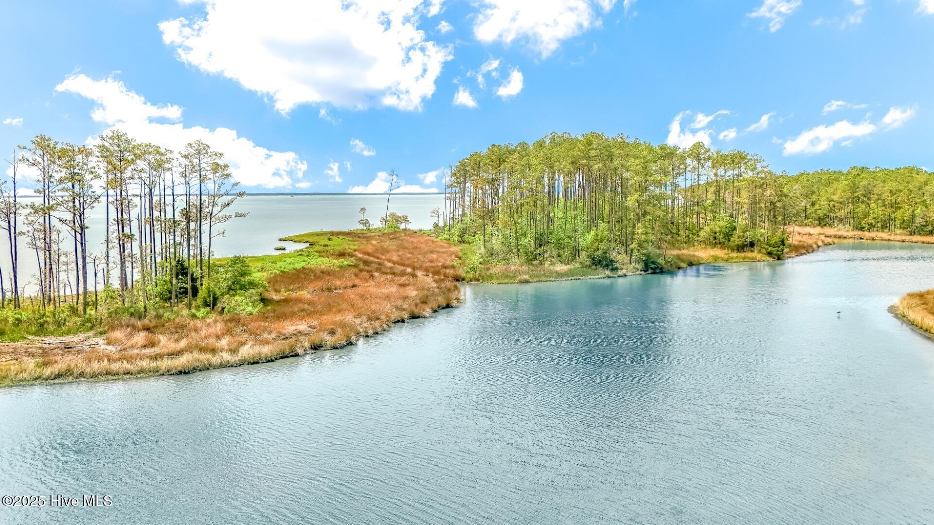 203 River Watch Road Oriental, NC 28571 - Photo 6 of 47 203 River Watch (3)