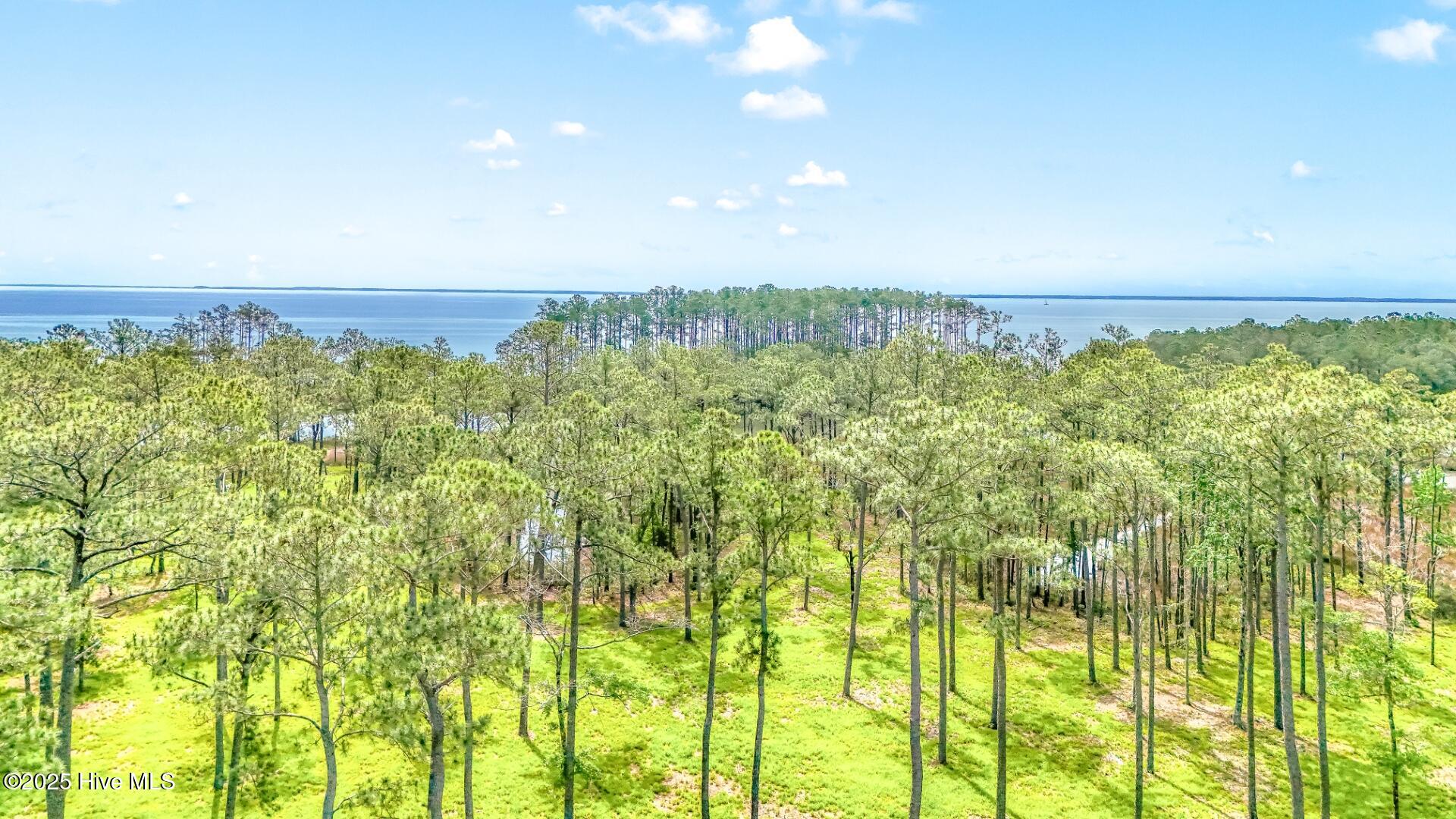 203 River Watch Road Oriental, NC 28571 - Photo 8 of 47 203 River Watch (8)