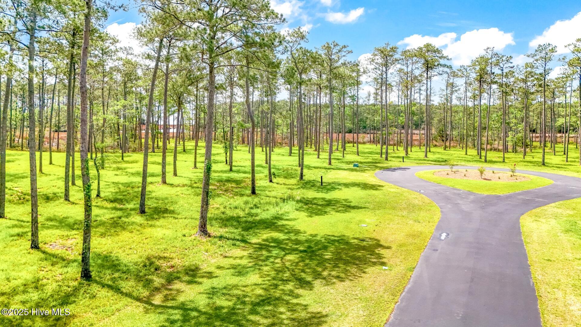203 River Watch Road Oriental, NC 28571 - Photo 9 of 47 203 River Watch (6)