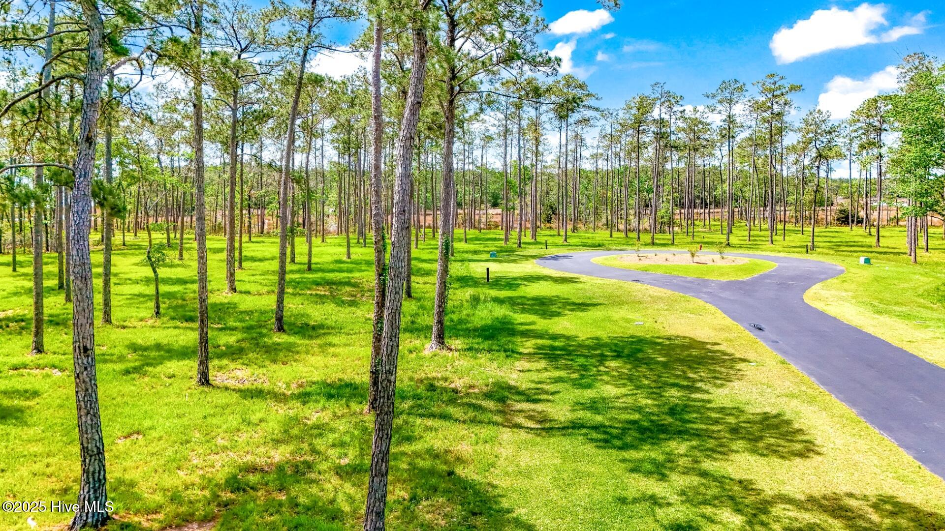 203 River Watch Road Oriental, NC 28571 - Photo 10 of 47 203 River Watch (5)