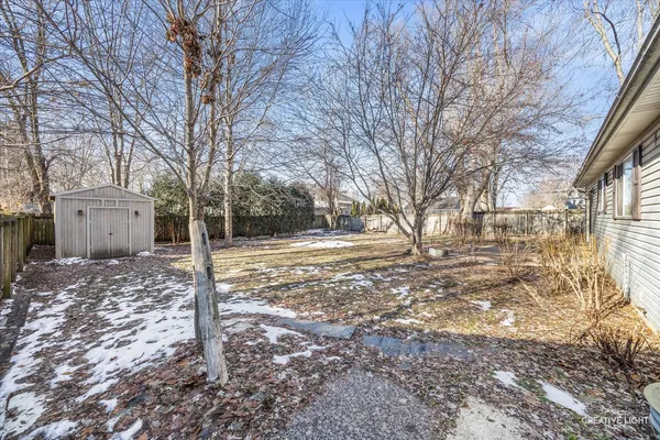 a tree in the middle of a yard