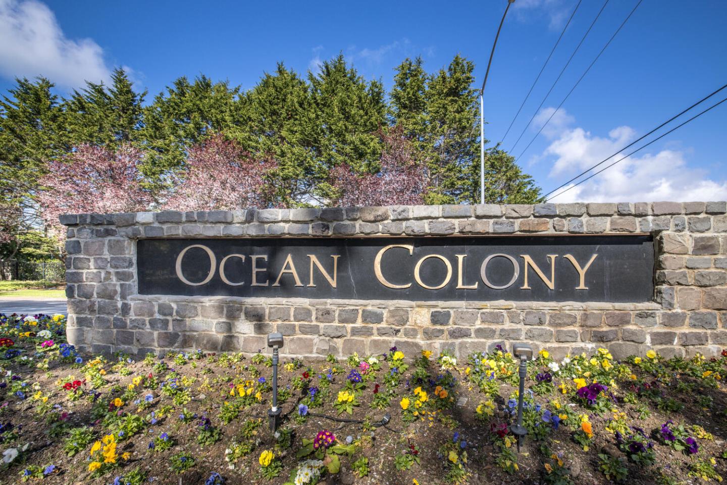 138 Cypress Point Road Half Moon Bay, CA 94019 - Photo 6 of 64 a street sign that is sitting in front of flowers