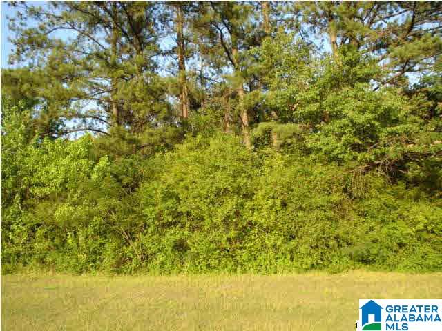 8317 Rouse Road North Warrior, AL 35180 - Photo 3 of 3