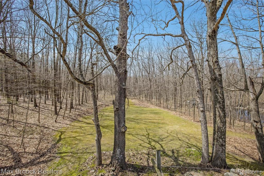 4646 Thomas Road Metamora, MI 48455 - Photo 39 of 54