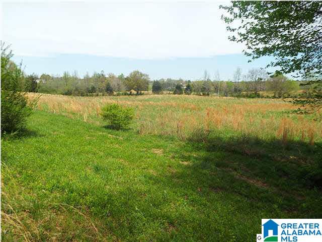 306 Hamm Road Blountsville, AL 35031 - Photo 9 of 28