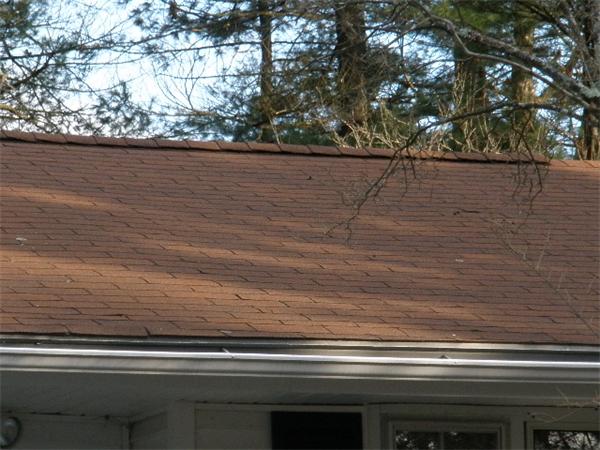 62 Francine Road Raynham, MA 02767 - Photo 7 of 16 Gallery Image 7