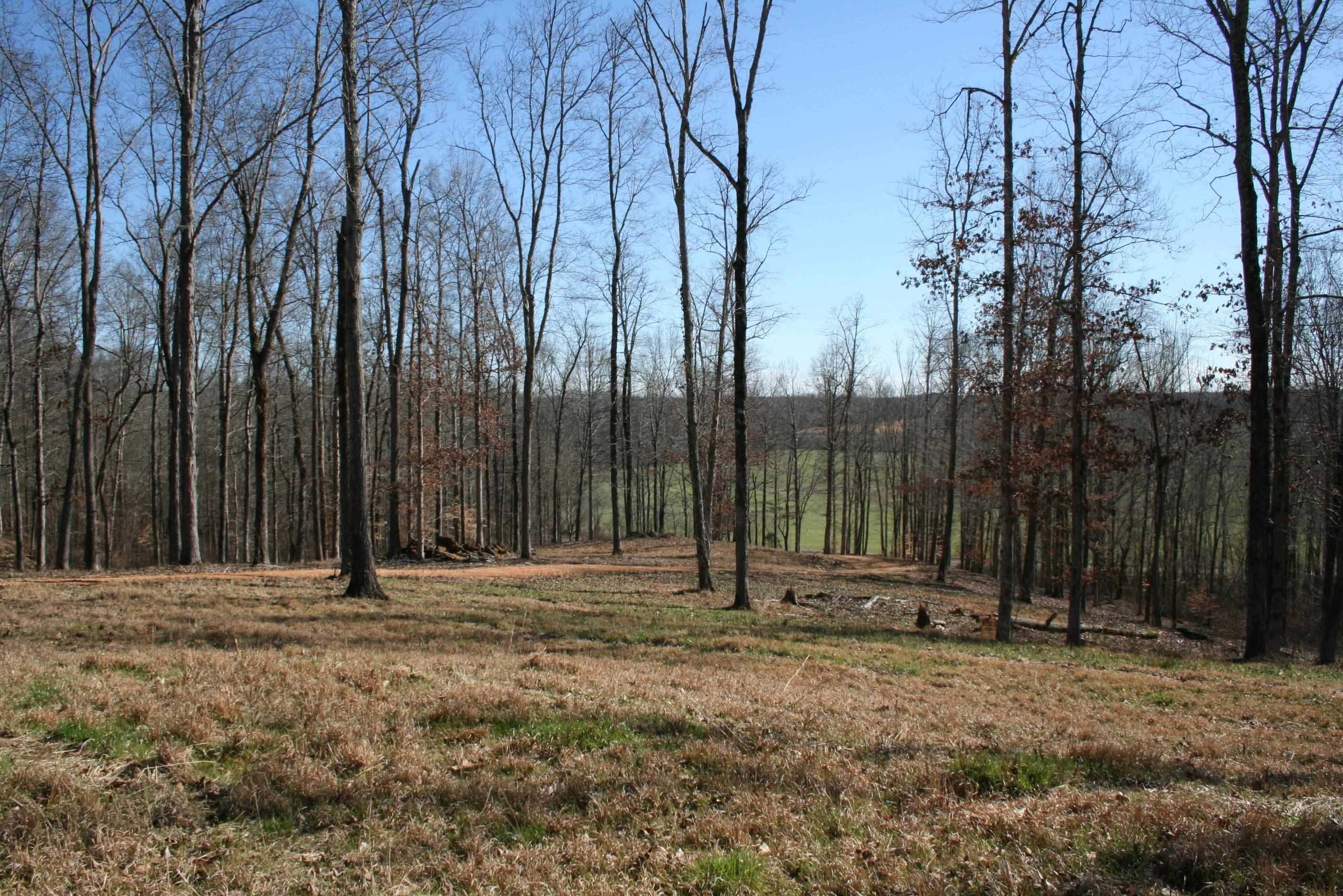 0 Poplar Springs Bargerton Road Lexington, TN 38351 - Photo 1 of 23 Homesite with Million Dollar View