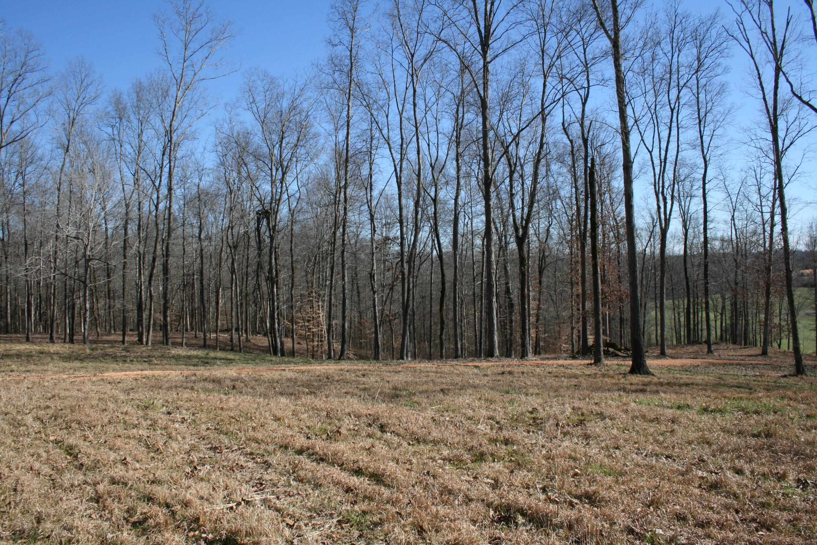 0 Poplar Springs Bargerton Road Lexington, TN 38351 - Photo 14 of 23 Photo 14