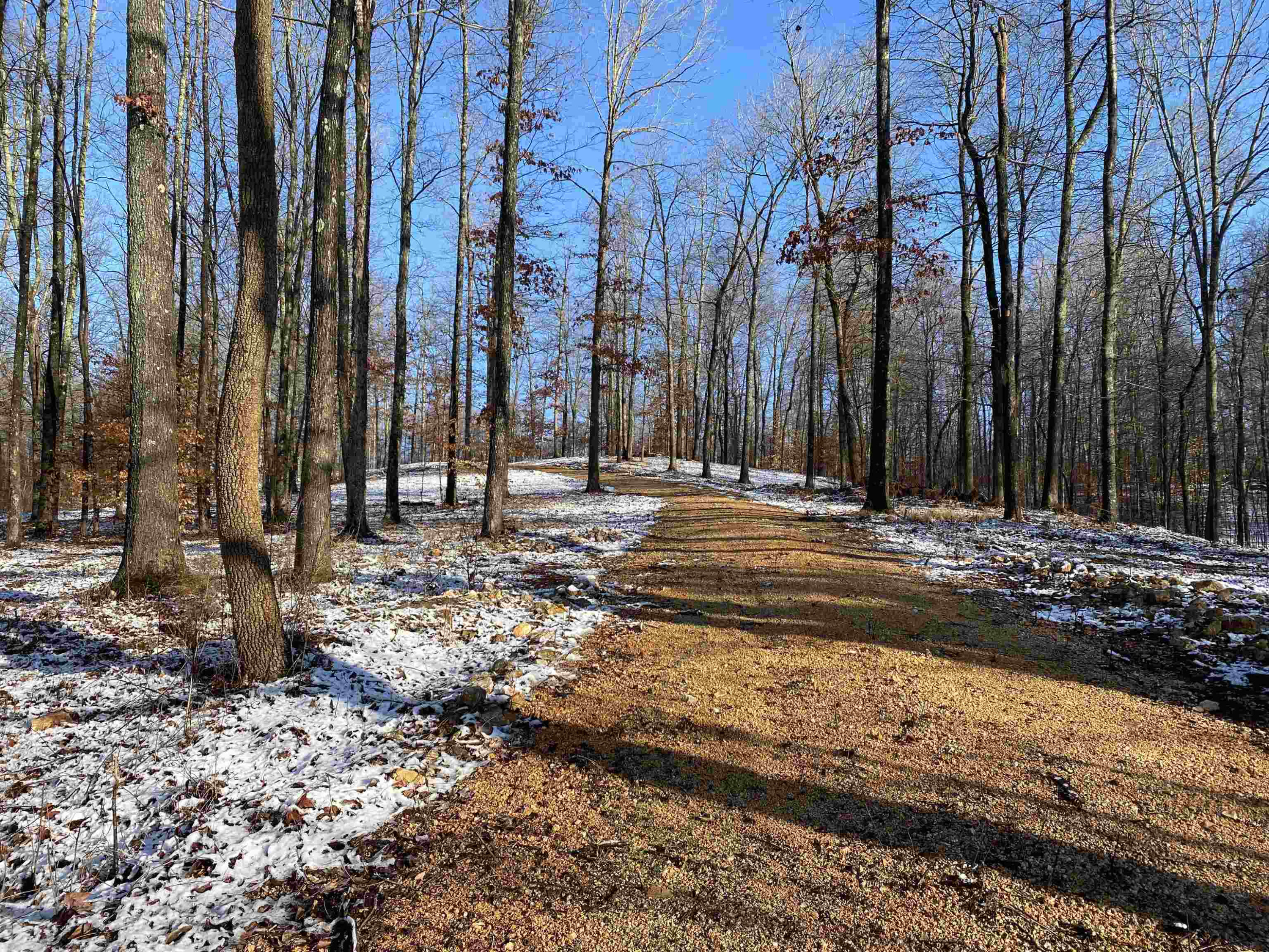 0 Poplar Springs Bargerton Road Lexington, TN 38351 - Photo 21 of 23 Photo 22