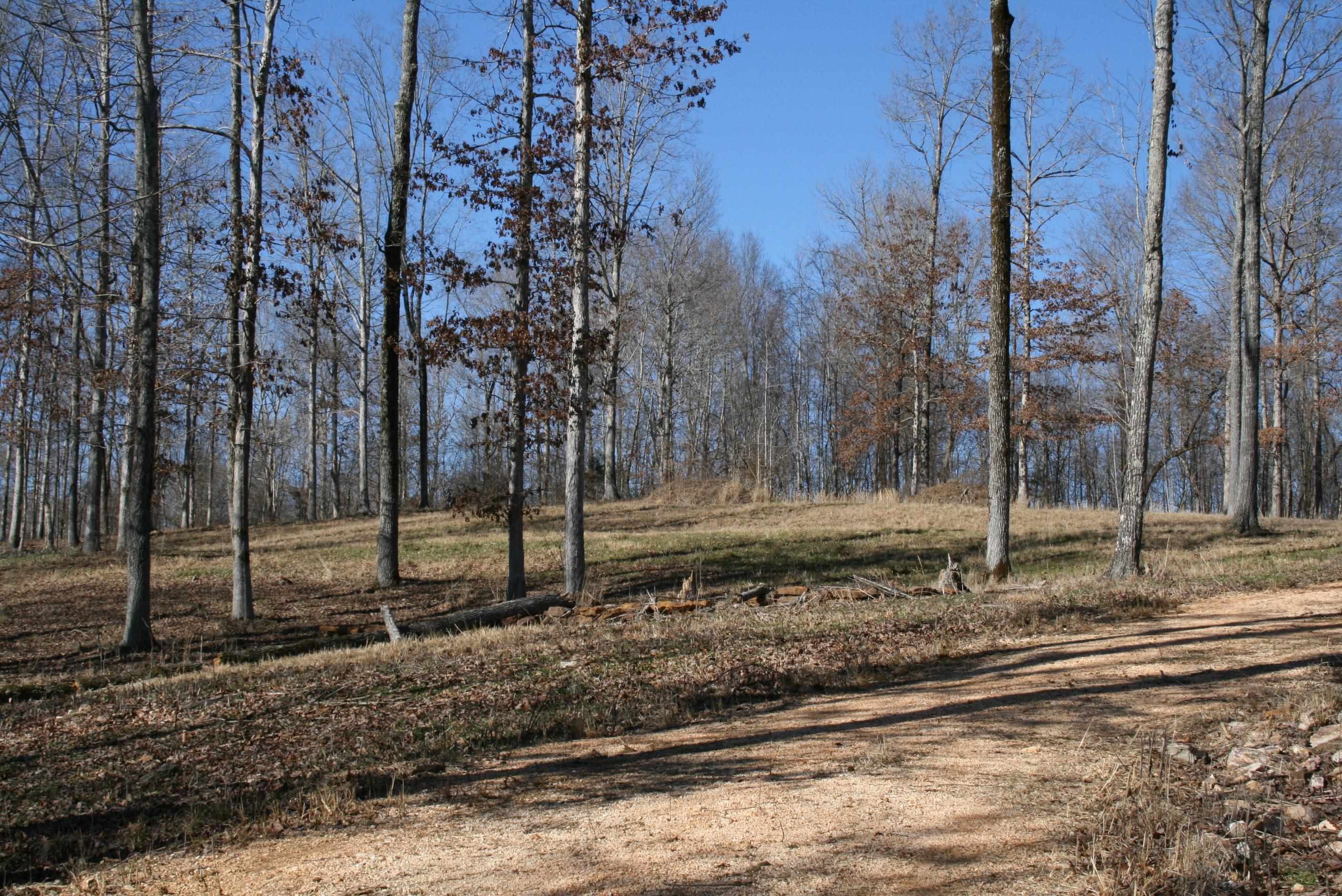 0 Poplar Springs Bargerton Road Lexington, TN 38351 - Photo 4 of 23 Photo 4