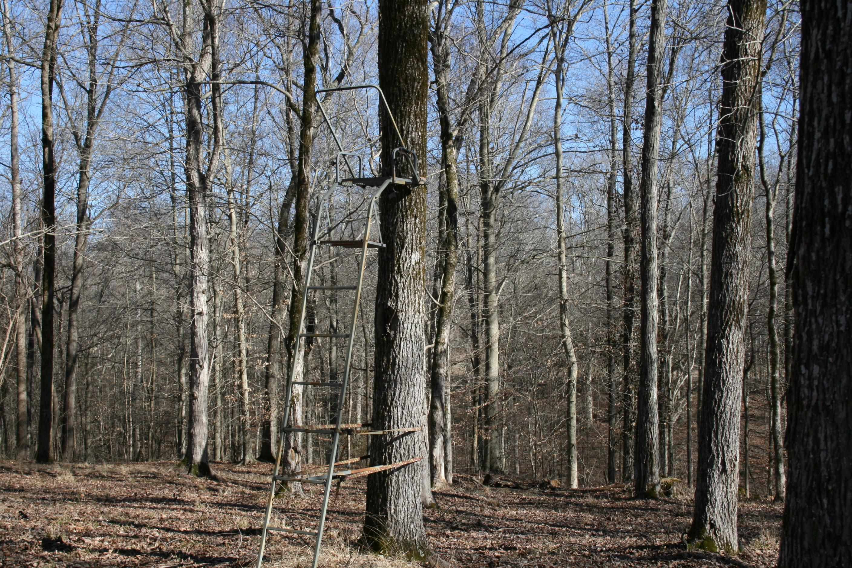 0 Poplar Springs Bargerton Road Lexington, TN 38351 - Photo 8 of 23 Deer Stand