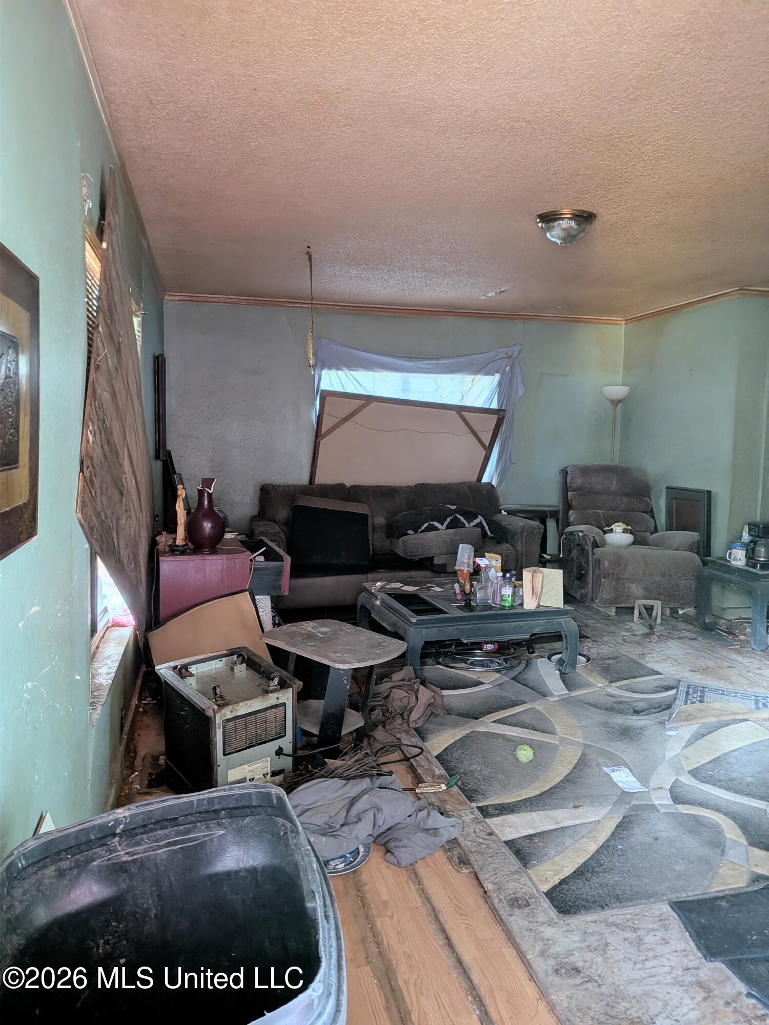 399 Cooper Road Jackson, MS 39212 - Photo 4 of 20 LIVING ROOM