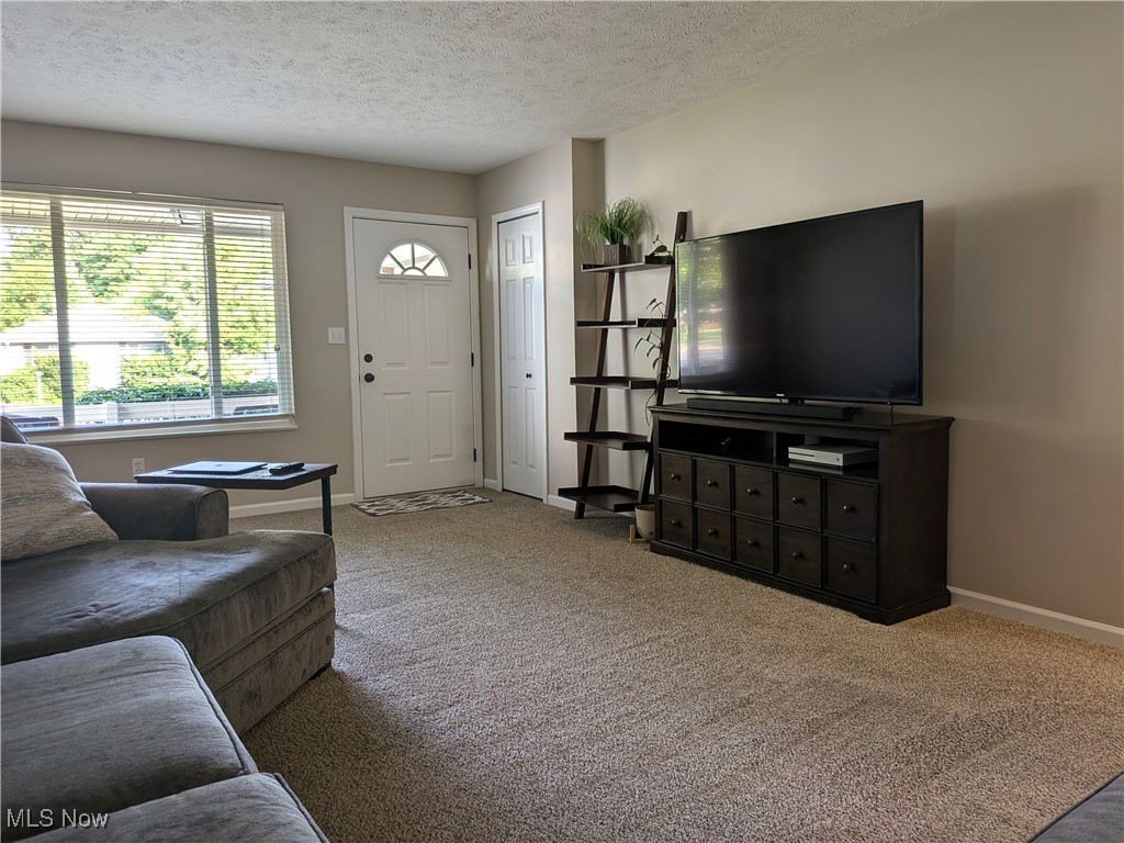 1127 Mayfield Ridge Road Cleveland, OH 44124 - Photo 15 of 47 Living area featuring carpet flooring, custom blinds and coat closet