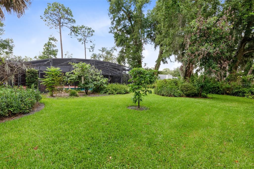 105 Pine Tree Lane Altamonte Springs, FL 32714 - Photo 42 of 43