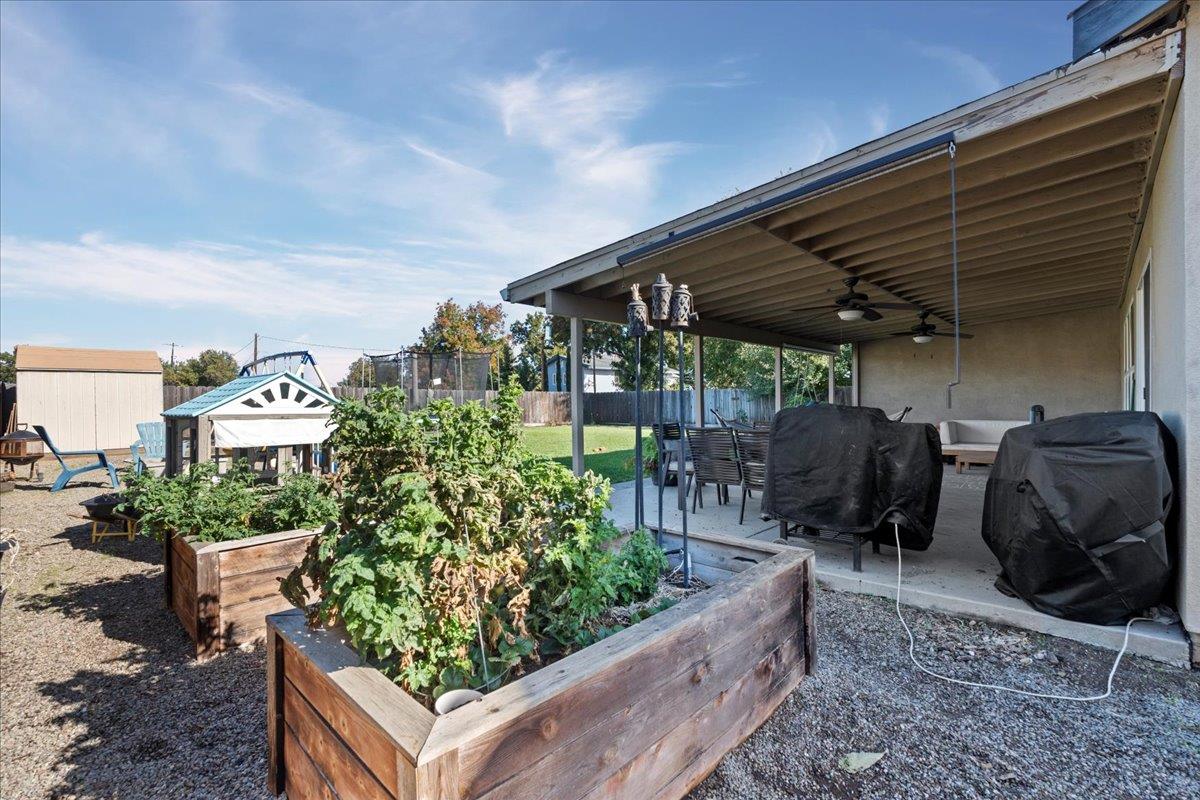 1725 Stonum Road Modesto, CA 95351 - Photo 27 of 34 a room with lots of potted plants and a large tree