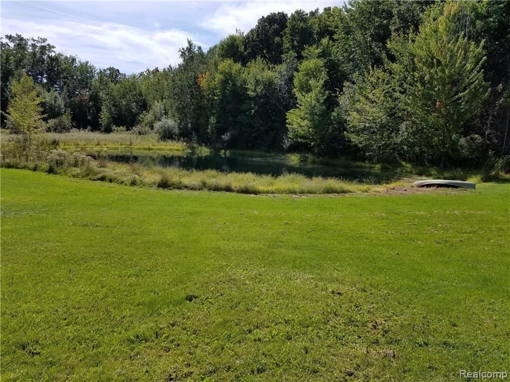 3605 Connors Road Emmett, MI 48022 - Photo 12 of 17 This is a view of the pond.