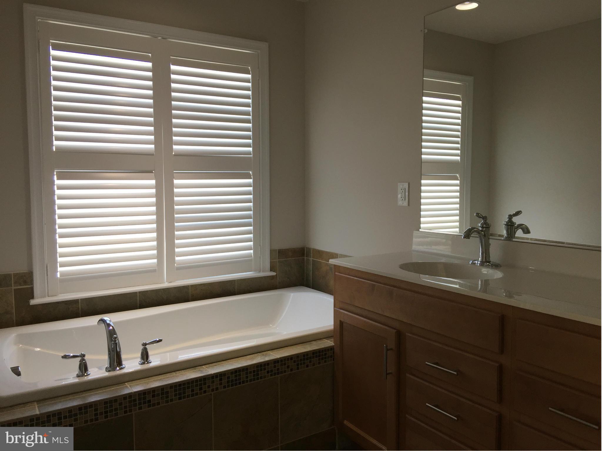 43535 Wheadon Terrace Chantilly, VA 20152 - Photo 13 of 30 Bath (Master)