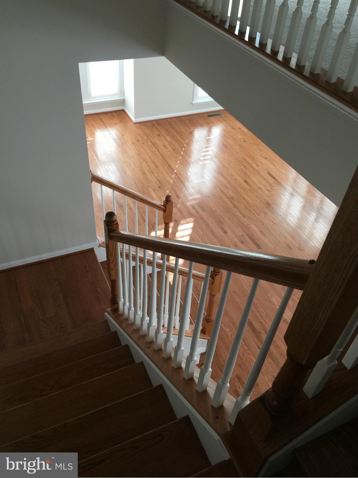 43535 Wheadon Terrace Chantilly, VA 20152 - Photo 6 of 30 stairs