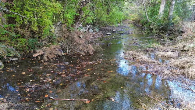 $480,000 | 409 Owl Drive, Lebanon, TN 37087