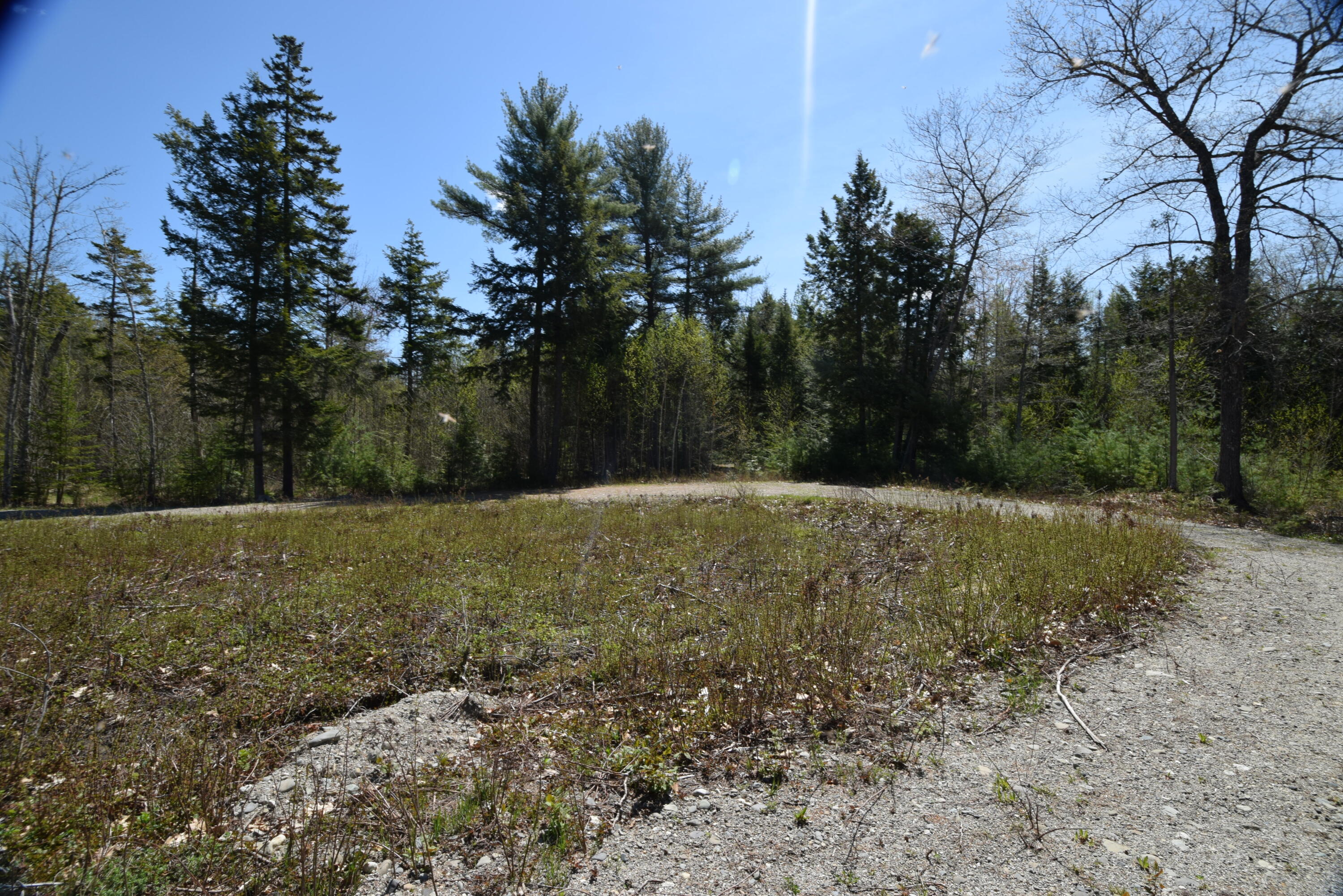 Lot#13 Peaceful Point Road Ellsworth, ME 04605 - Photo 31 of 45 Cleared area...