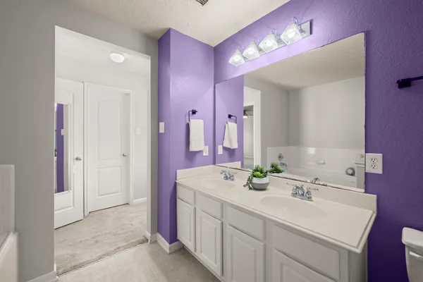 a bathroom with a sink vanity tub and a mirror