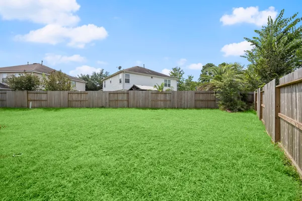 a view of a yard with a large tree in front of it