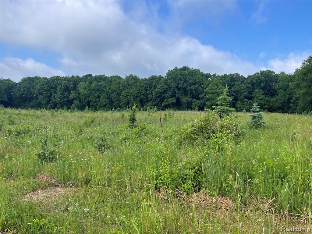 8 North Tipsico Lake Road Highland, MI 48357 - Photo 9 of 18