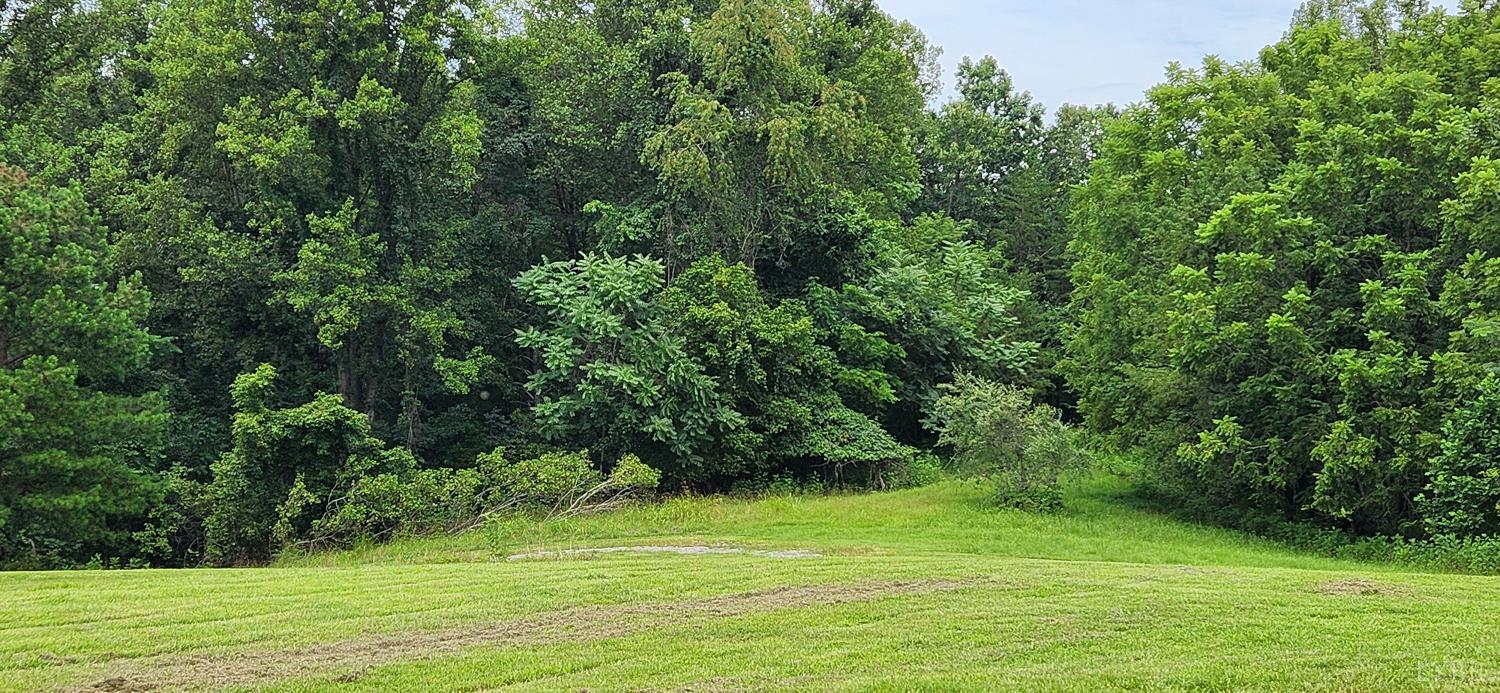 13384 Hardy Road Hardy, VA 24101 - Photo 6 of 74