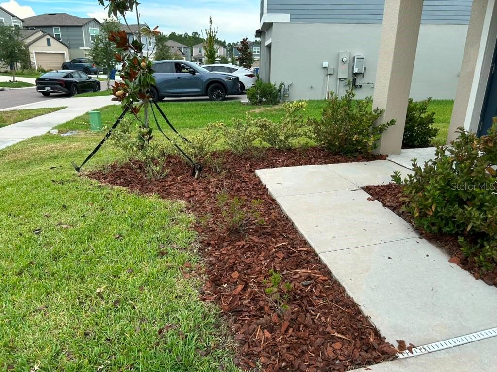 1771 Lanier Road Zephyrhills, FL 33541 - Photo 4 of 7