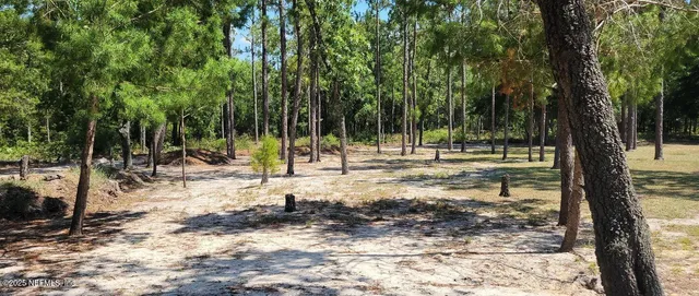 a view of outdoor space with trees