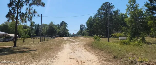 a view of a yard with a tree