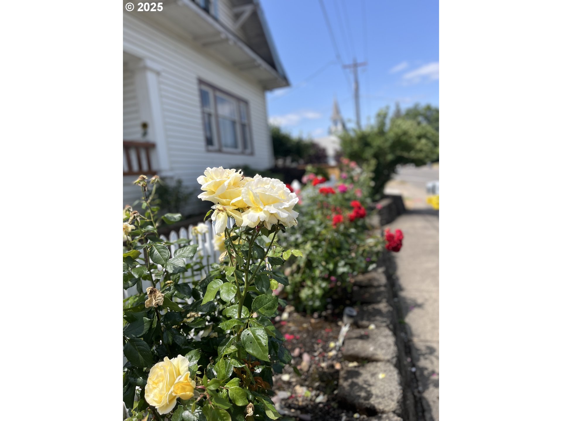 385 Southeast Twp Road Canby, OR 97013 - Photo 2 of 30 a vase of flowers sitting in front of a house