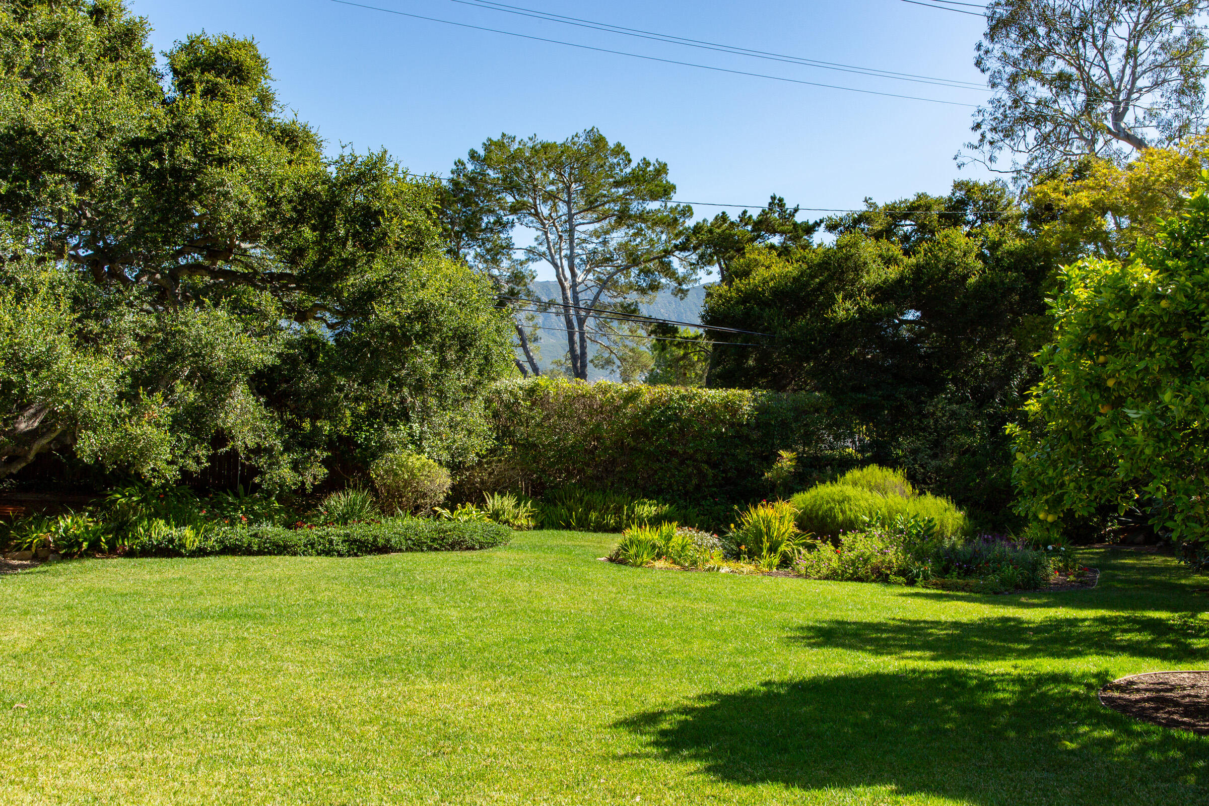 279 Santa Rosa Lane Montecito, CA 93108 - Photo 6 of 27 a view of a garden