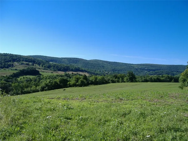 $140,000 | Ploss Road, Richmondville, NY 12149