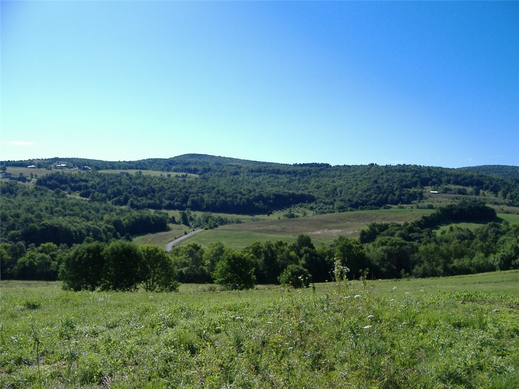 Ploss Road Richmondville, NY 12149 - Photo 2 of 6