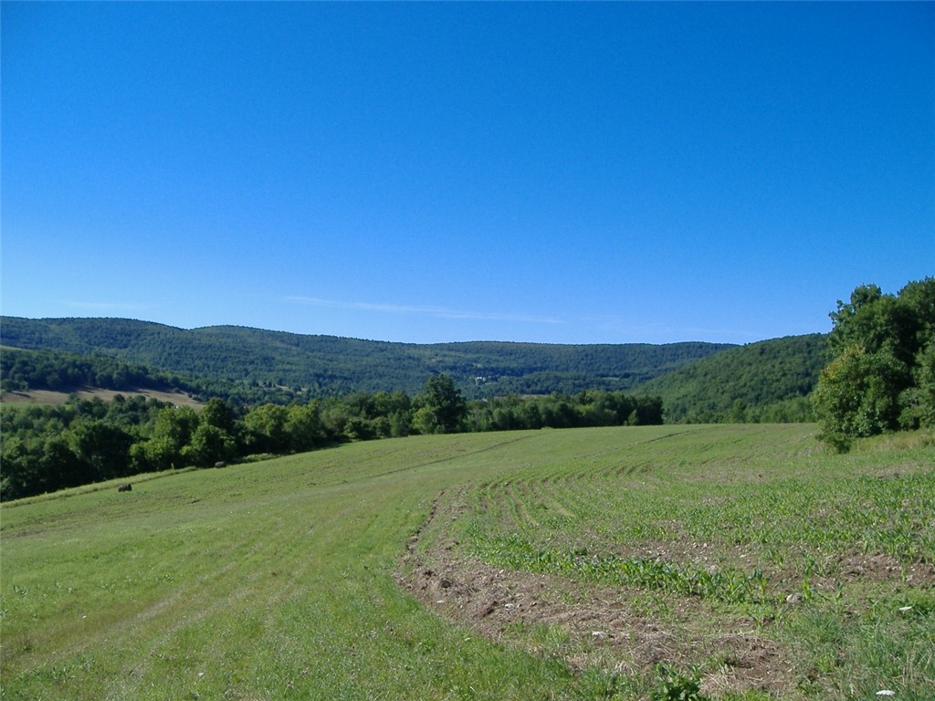 Ploss Road Richmondville, NY 12149 - Photo 3 of 6