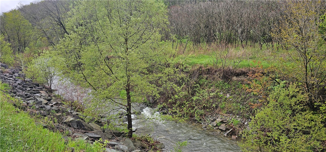 Ploss Road Richmondville, NY 12149 - Photo 5 of 6