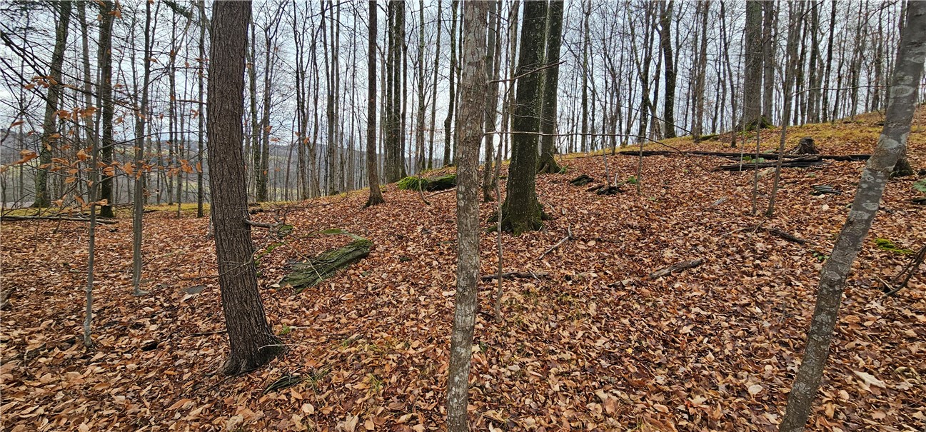 Ploss Road Richmondville, NY 12149 - Photo 6 of 6