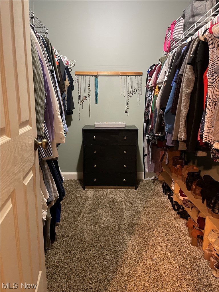 452 Rabbit Run Lane Wellington, OH 44090 - Photo 19 of 35 Master closet
