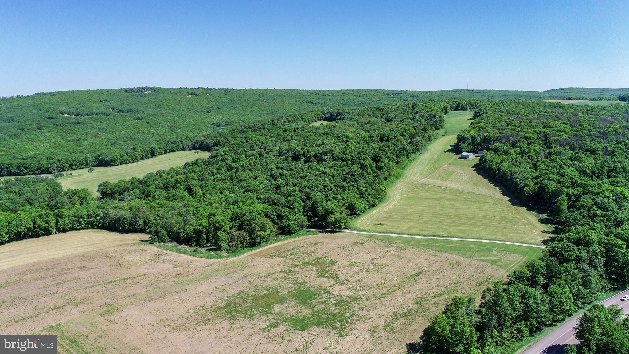 5-acres Chestnut Ridge Road Grantsville, MD 21536 - Photo 14 of 16