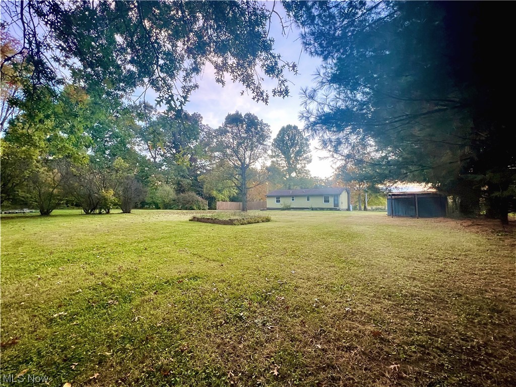 3122 Bedrock Road Northwest Dellroy, OH 44620 - Photo 5 of 23 View of yard