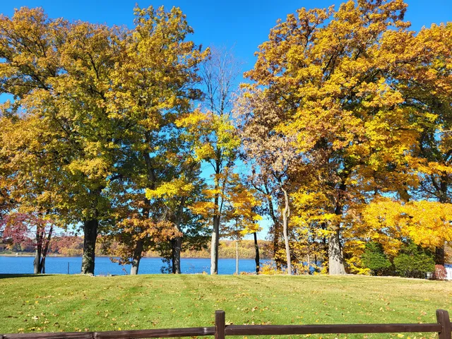 a view of yard with tree
