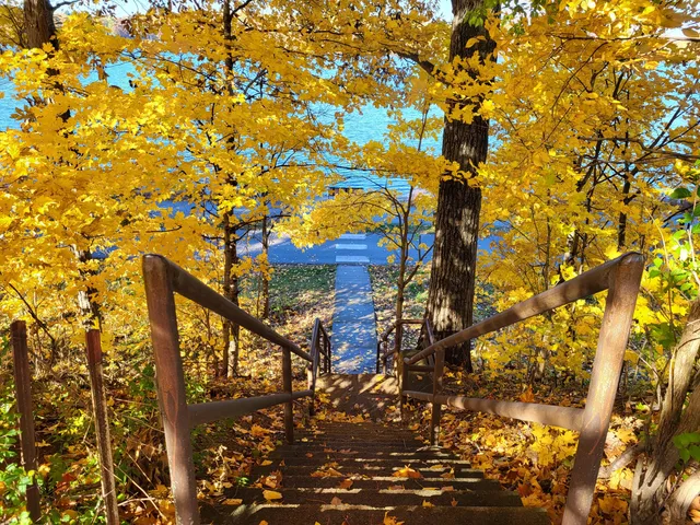 a view of a lake with houses in the back