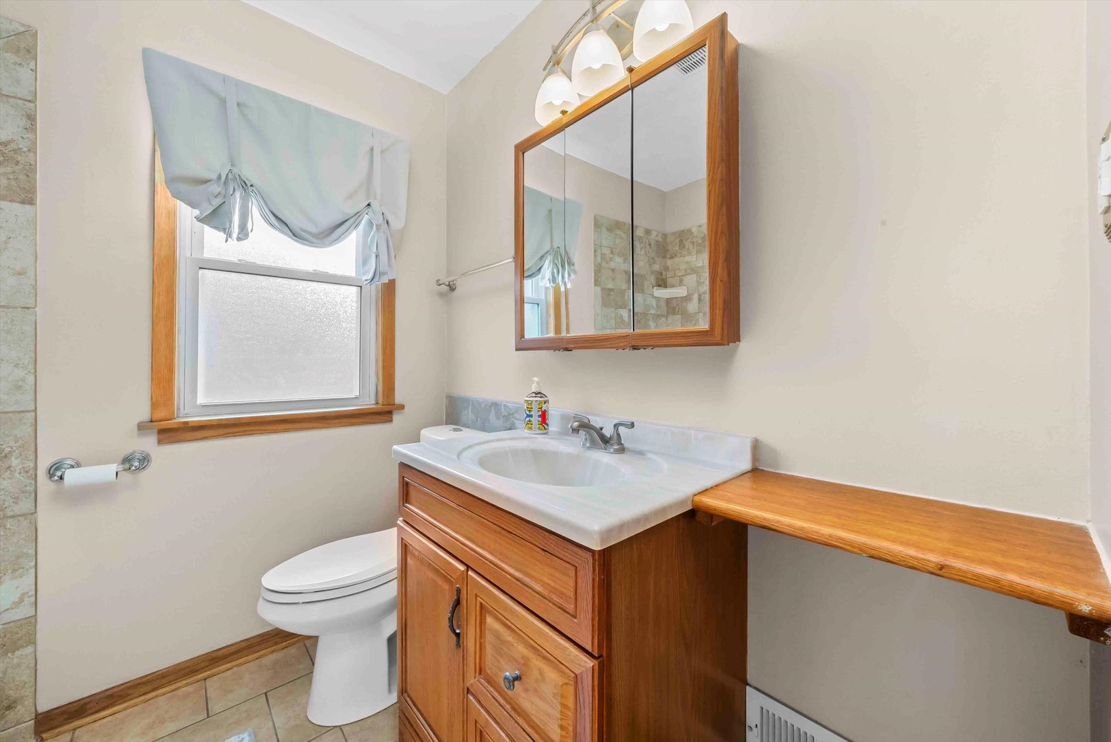 11221 South Troy Street Chicago, IL 60655 - Photo 19 of 42