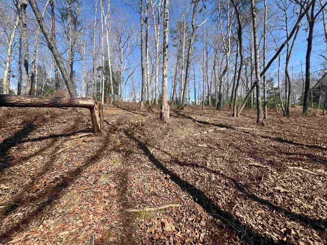 $145,000 | 385 State Rd S-42-4394, Chesnee, SC 29323