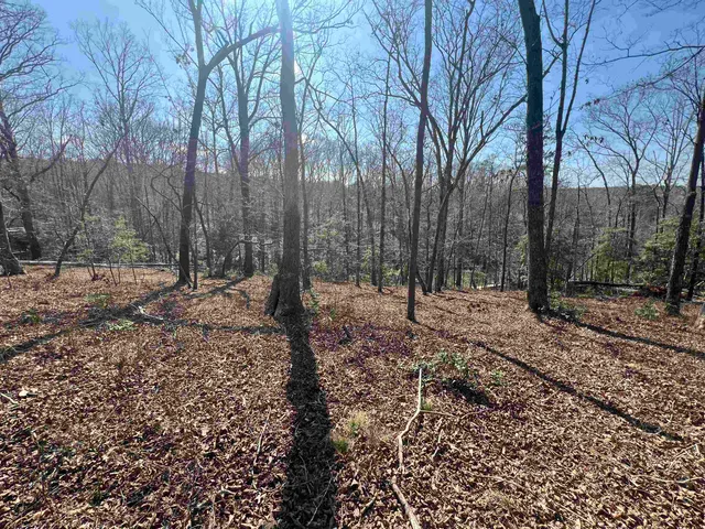 $145,000 | 385 State Rd S-42-4394, Chesnee, SC 29323